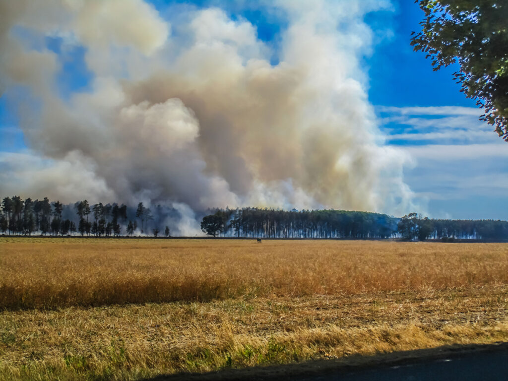 Waldbrand