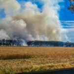 Waldbrandgefahr im Landkreis Wittenberg: Aktuelle Lage und Verhaltenshinweise