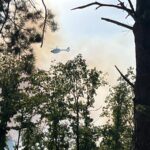 Live-Ticker: Großer Waldbrand in Oranienbaum