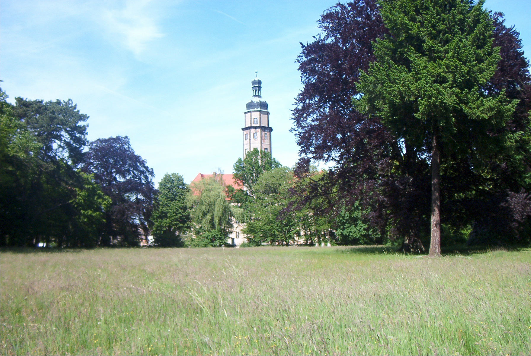 Wildkräuterwanderungen im Schlosspark Reinharz