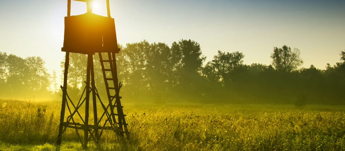 Aussichtsturm für die Jagd im Morgengrauen